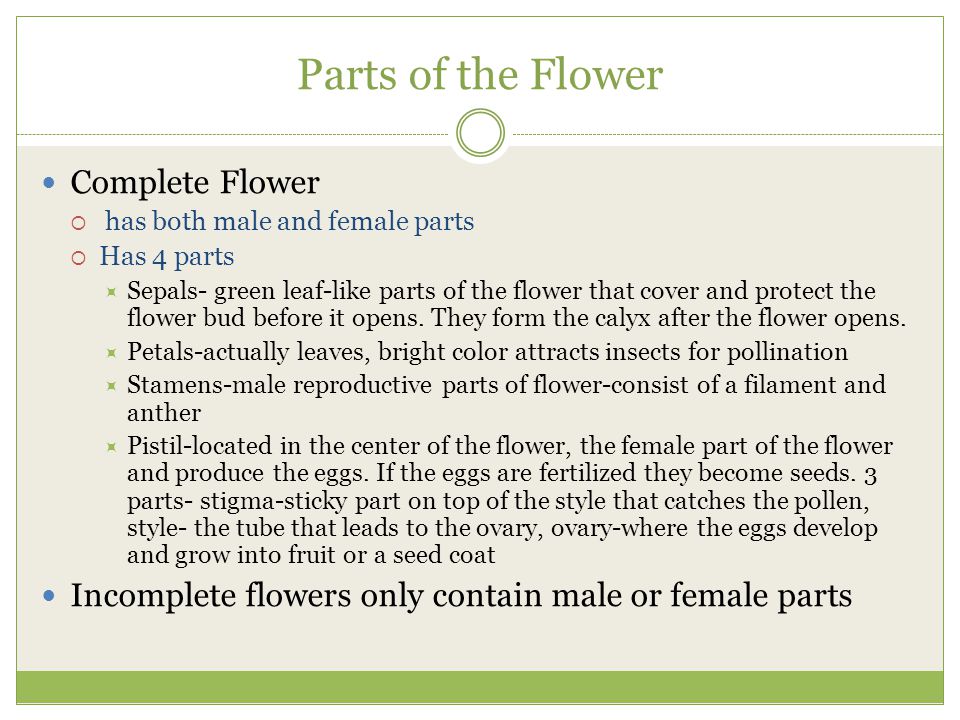 Parts of the Flower Complete Flower