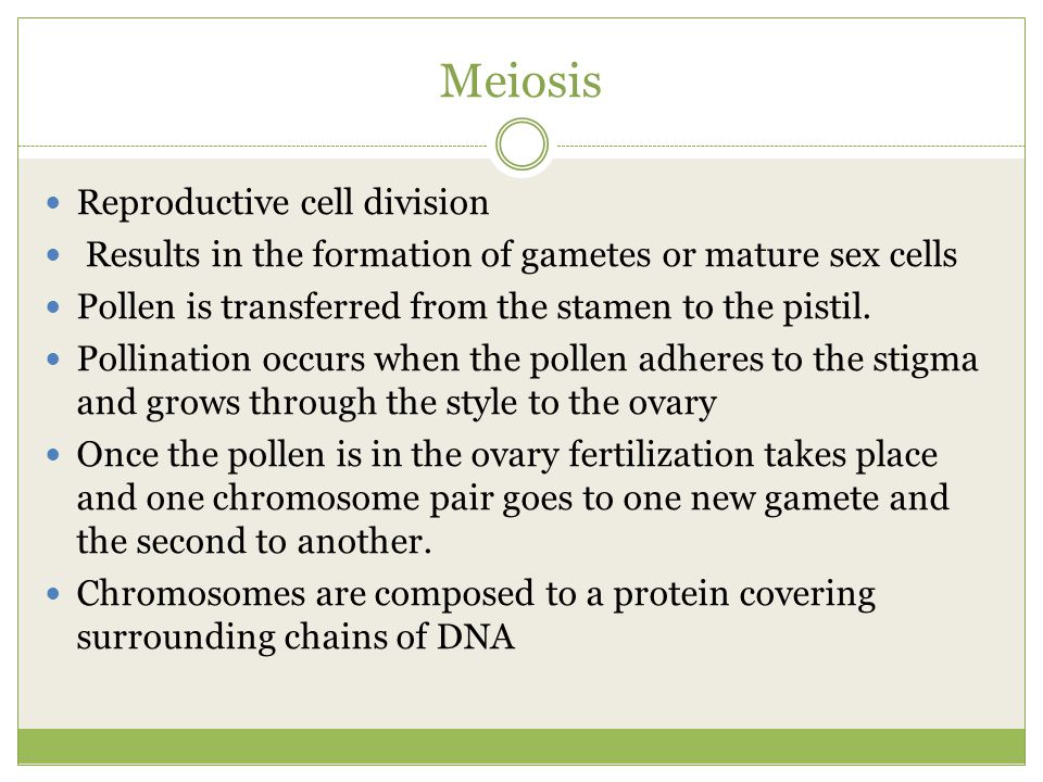 Meiosis Reproductive cell division