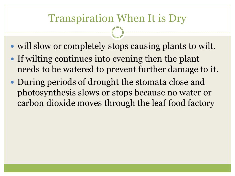 Transpiration When It is Dry