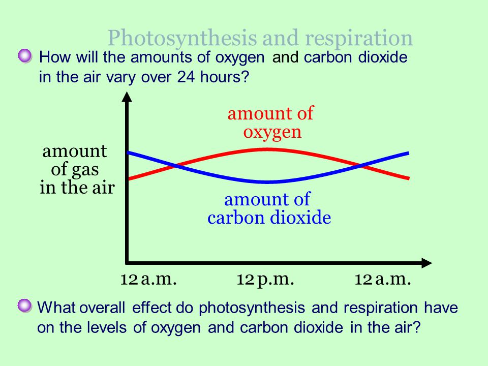 Photosynthesis and respiration