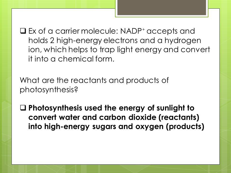Ex of a carrier molecule: NADP+ accepts and holds 2 high-energy electrons and a hydrogen ion, which helps to trap light energy and convert it into a chemical form.