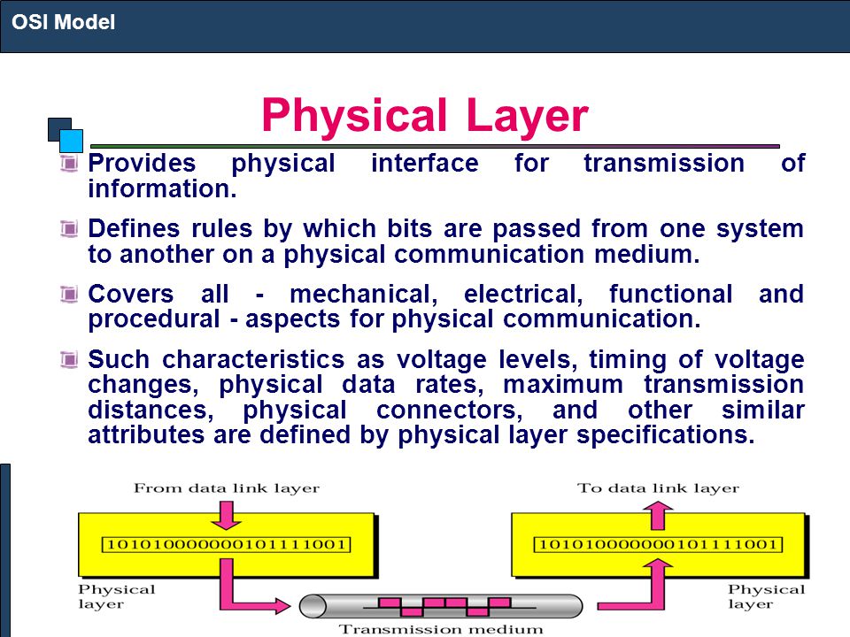 OSI Model OSI LAYER / MODEL. - ppt video online download