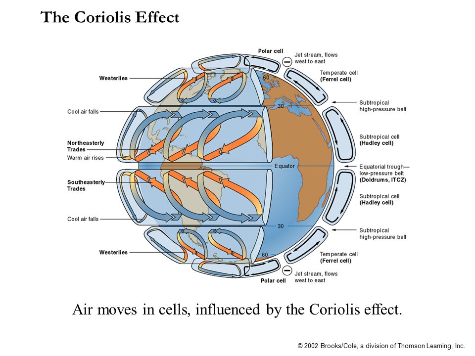The Coriolis Effect Air moves in cells, influenced by the Coriolis effect.