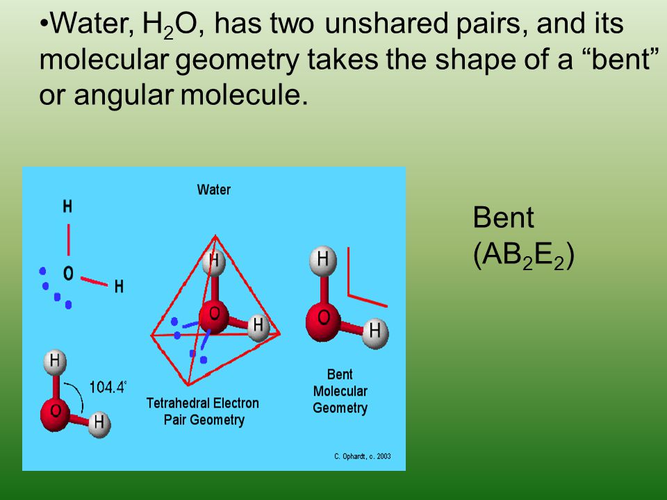 Water, H2O, has two unshared pairs, and its molecular geometry takes the sh...