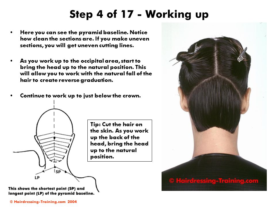 How to cut Reverse Graduation hair cut tutorial I HINDI I रिभार्स  ग्रेजुयेशन काट कैसे करे (TUTORIAL) - YouTube