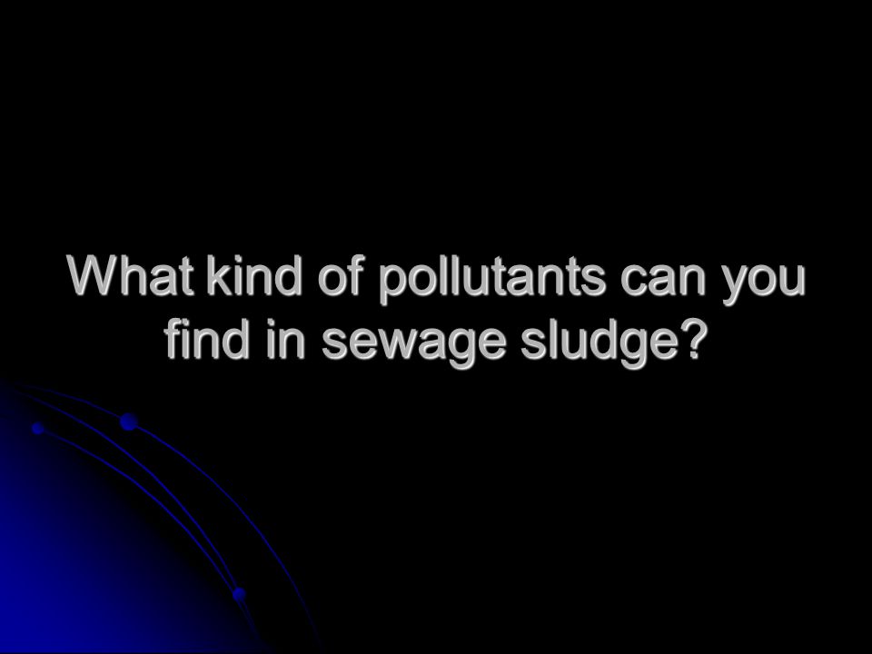 What kind of pollutants can you find in sewage sludge