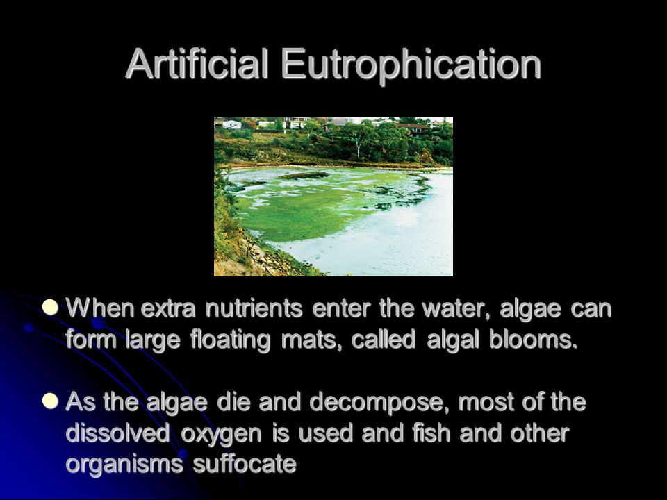 Artificial Eutrophication