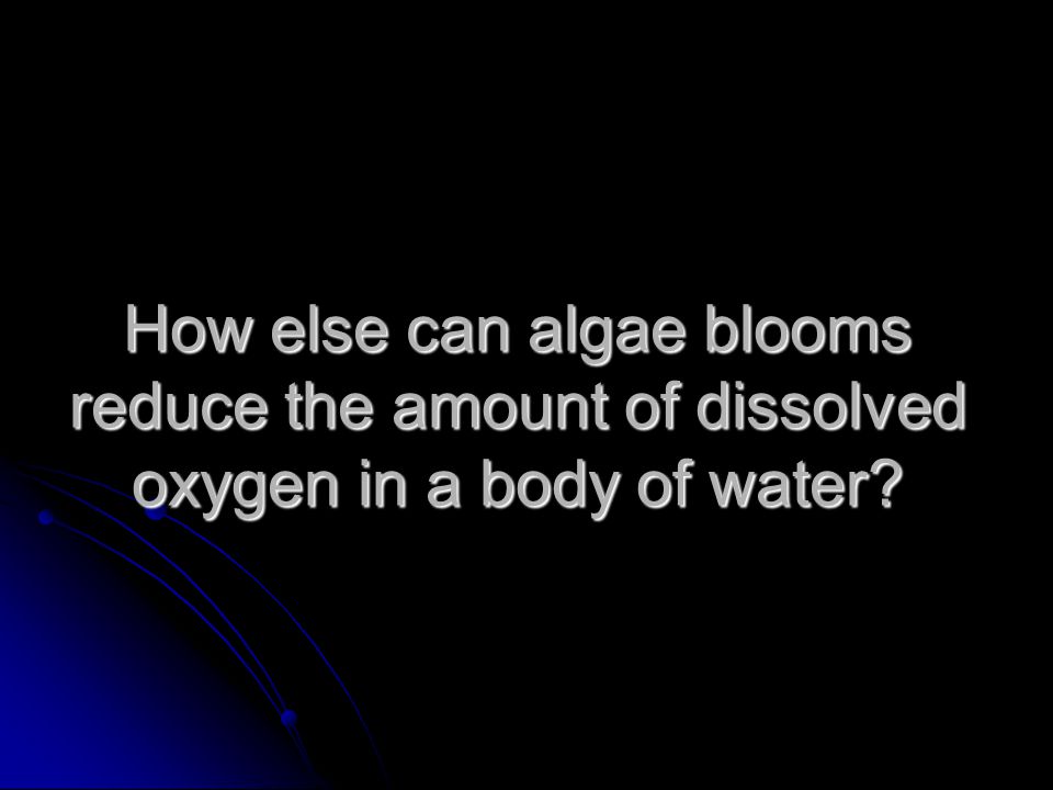 How else can algae blooms reduce the amount of dissolved oxygen in a body of water