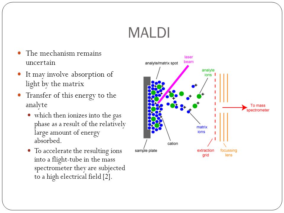 MALDI The mechanism remains uncertain