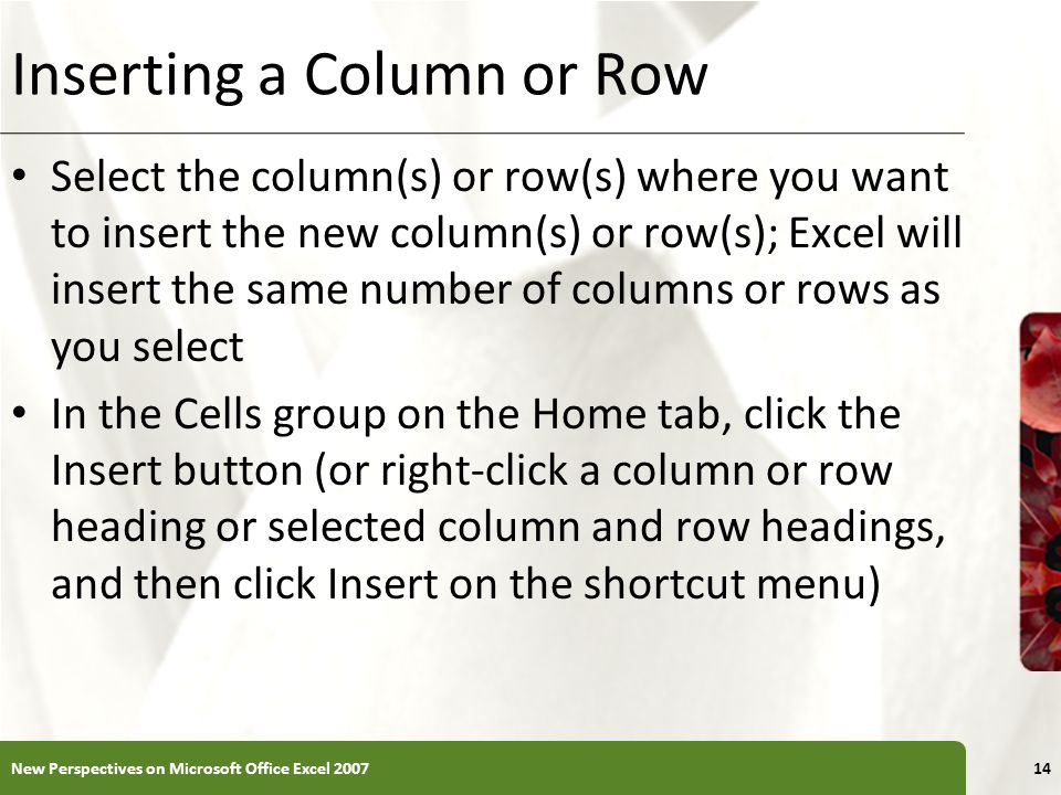 Inserting a Column or Row