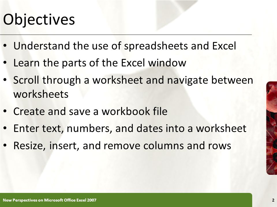 Objectives Understand the use of spreadsheets and Excel