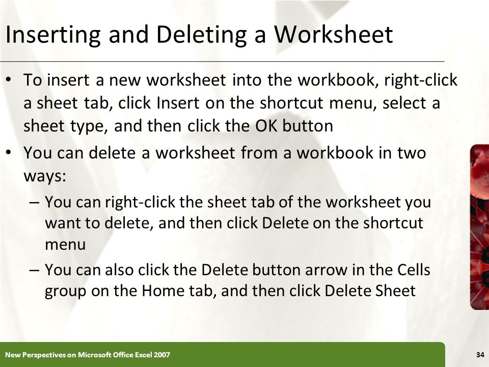 Inserting and Deleting a Worksheet