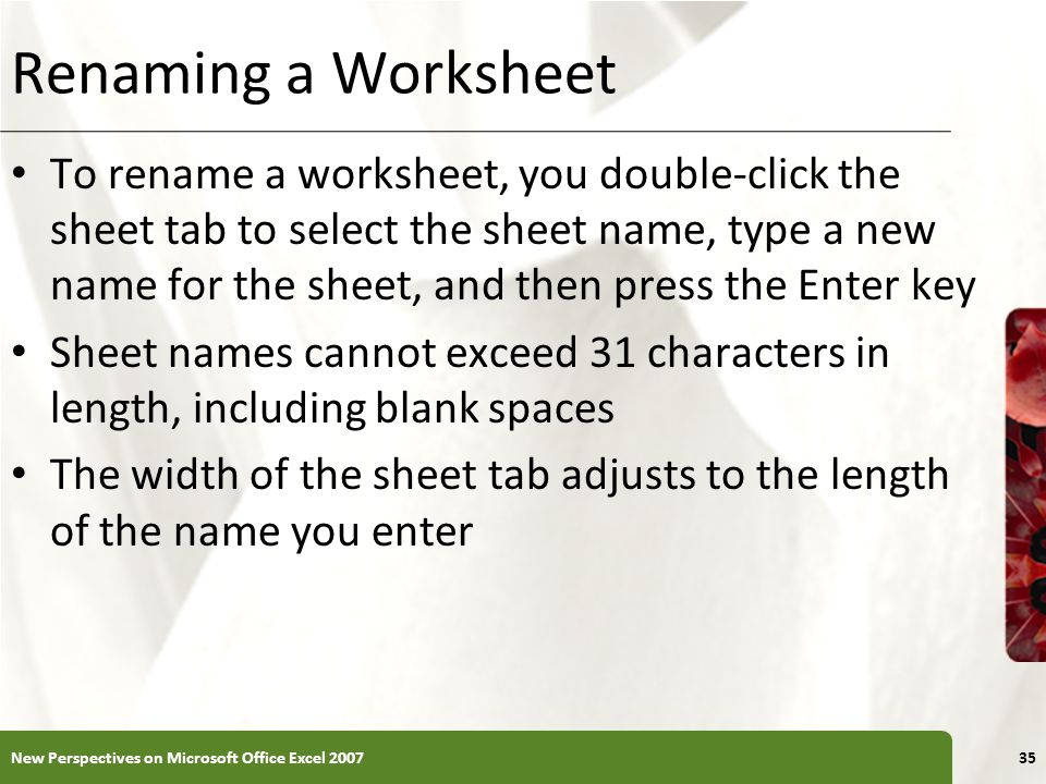 Renaming a Worksheet
