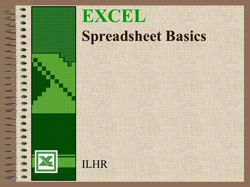 EXCEL Spreadsheet Basics