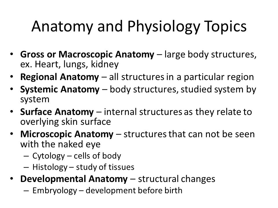 human anatomy topics
