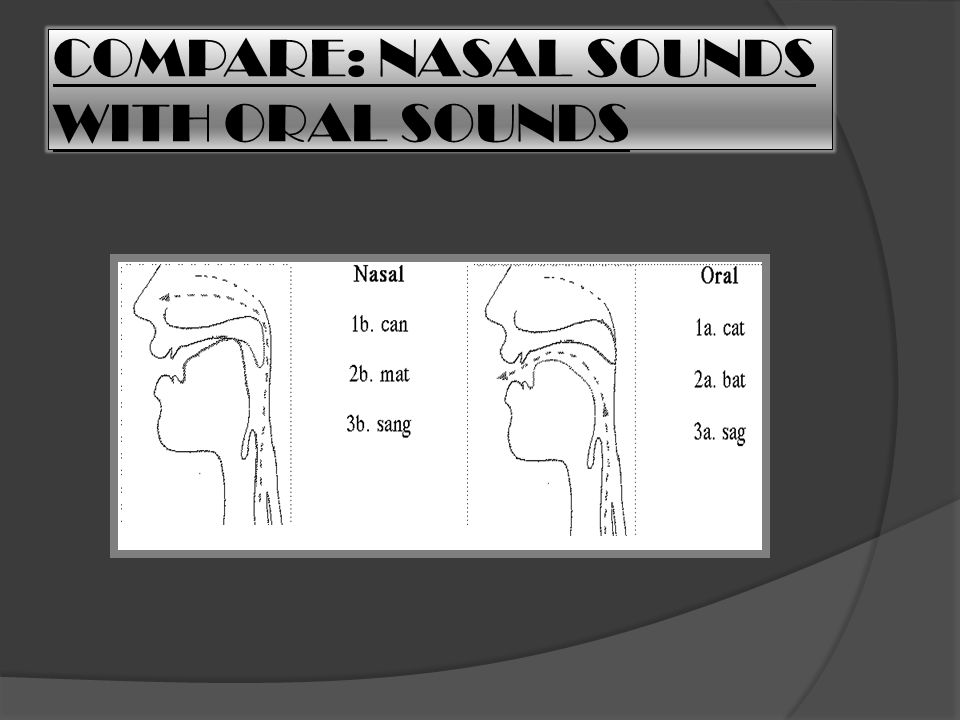 COMPARE: NASAL SOUNDS WITH ORAL SOUNDS