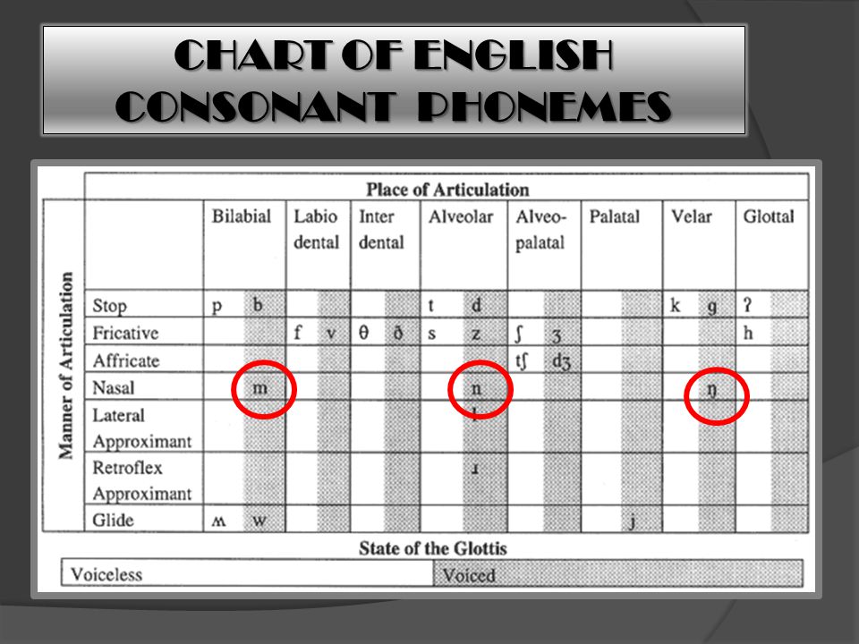 CHART OF ENGLISH CONSONANT PHONEMES