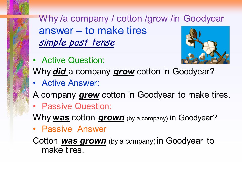 Why /a company / cotton /grow /in Goodyear answer – to make tires simple past tense