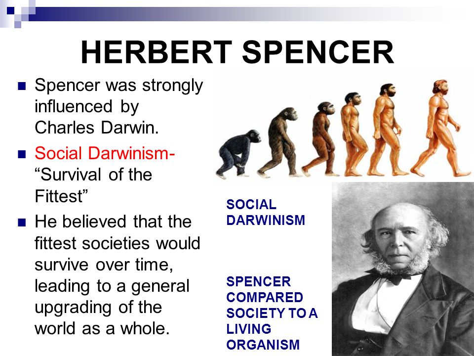 HERBERT SPENCER Spencer was strongly influenced by Charles Darwin.