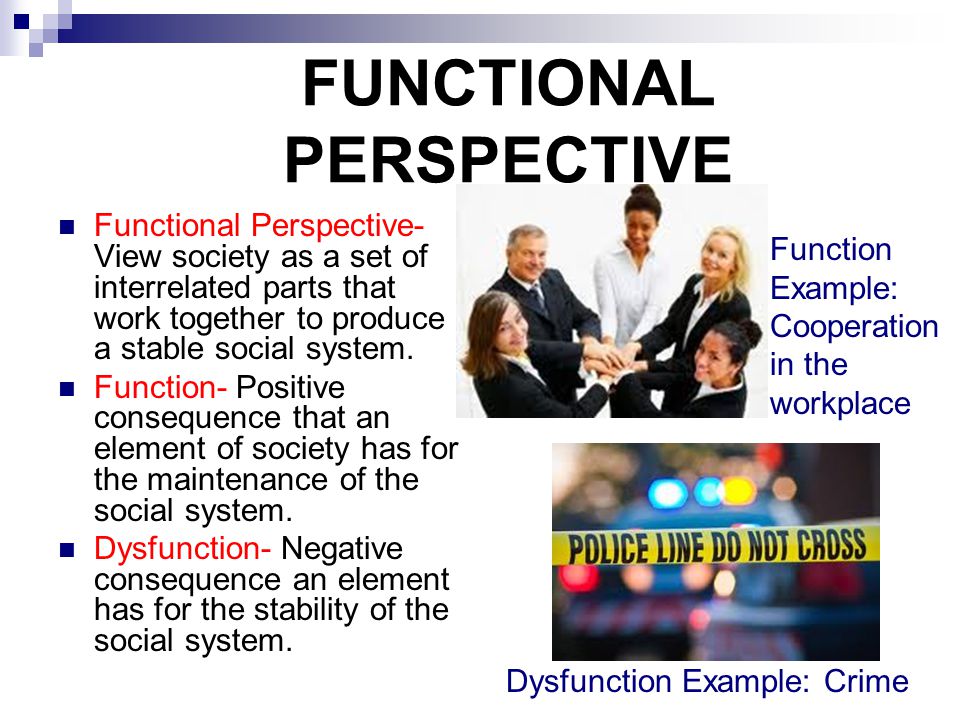FUNCTIONAL PERSPECTIVE