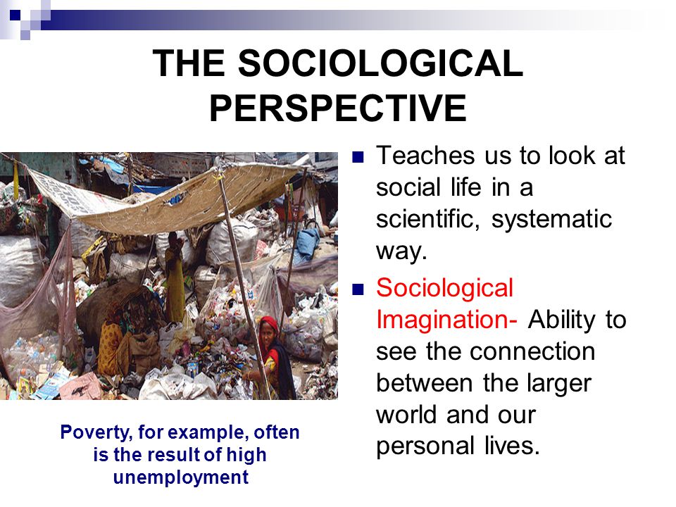 THE SOCIOLOGICAL PERSPECTIVE