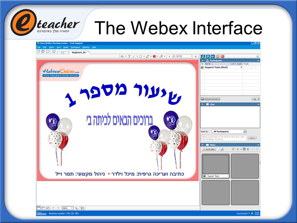 The Webex Interface