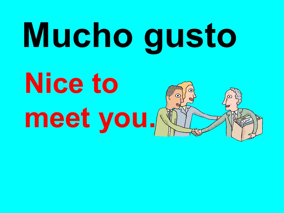 Mucho gusto Nice to meet you.