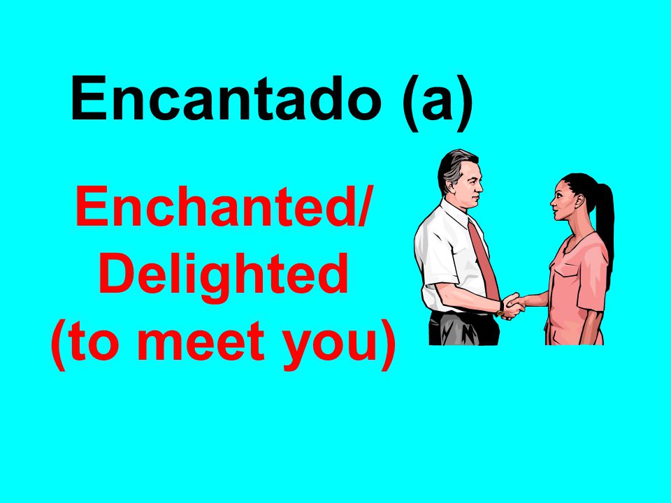Enchanted/ Delighted (to meet you)‏