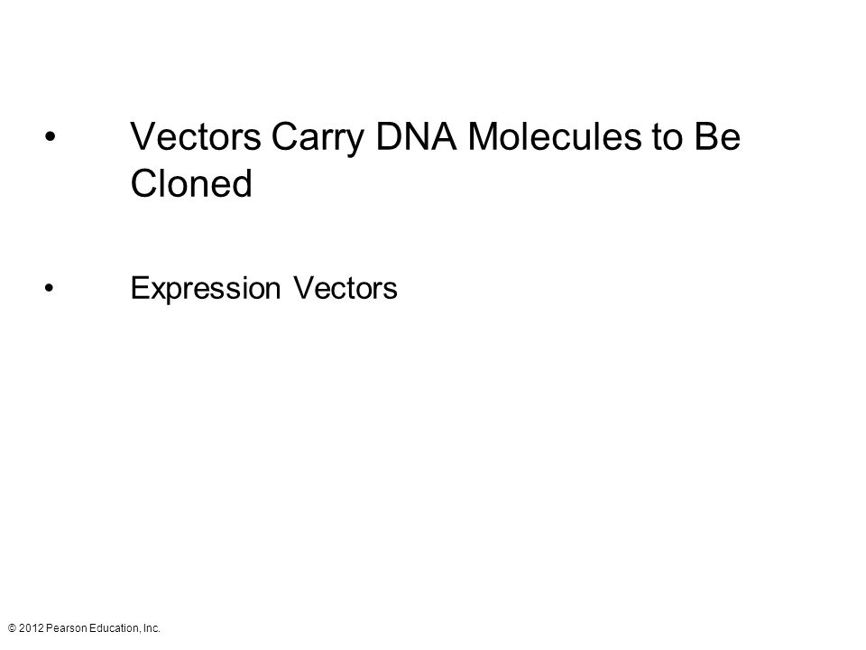 Vectors Carry DNA Molecules to Be Cloned