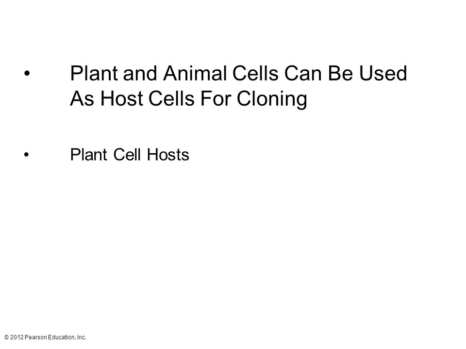 Plant and Animal Cells Can Be Used As Host Cells For Cloning