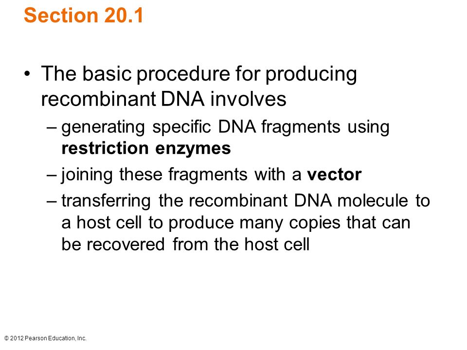 The basic procedure for producing recombinant DNA involves