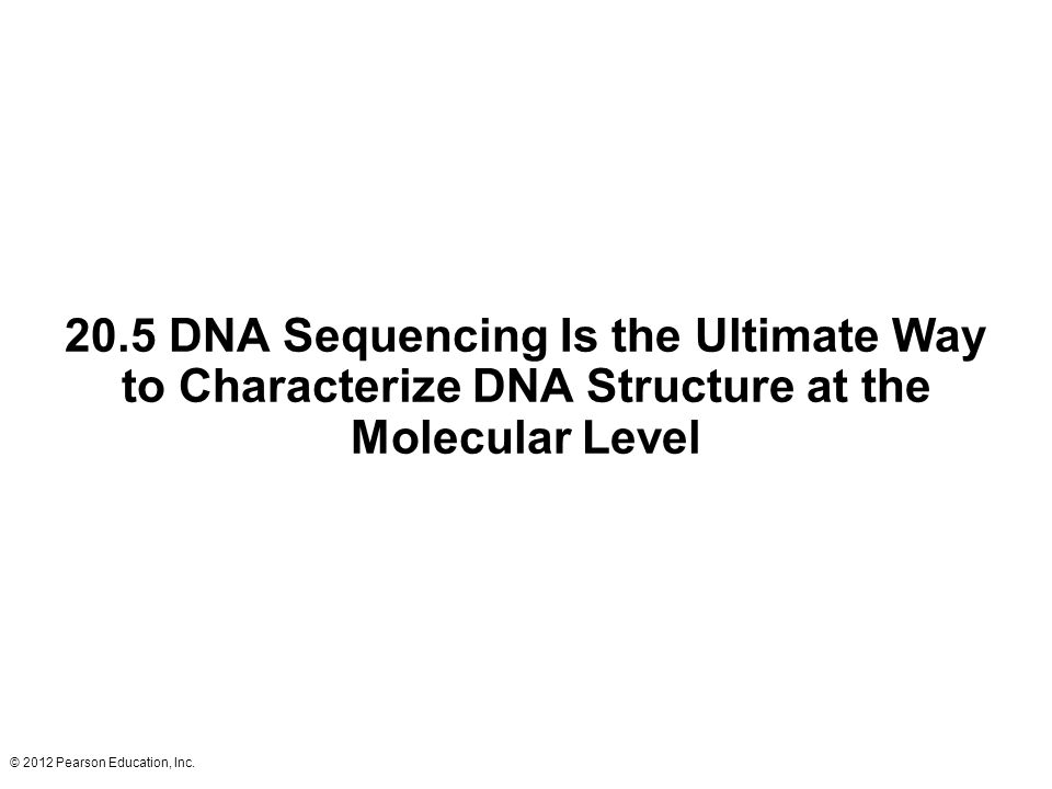 20.5 DNA Sequencing Is the Ultimate Way to Characterize DNA Structure at the Molecular Level
