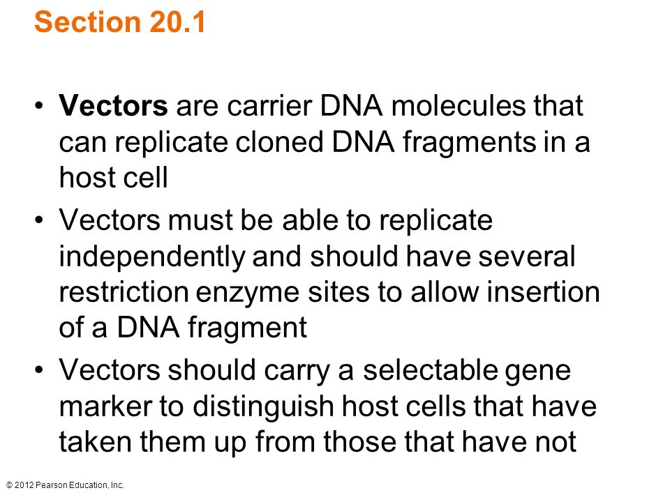Section 20.1 Vectors are carrier DNA molecules that can replicate cloned DNA fragments in a host cell.