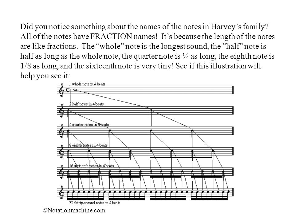 Did you notice something about the names of the notes in Harvey’s family All of the notes have FRACTION names! It’s because the length of the notes are like fractions. The whole note is the longest sound, the half note is half as long as the whole note, the quarter note is ¼ as long, the eighth note is 1/8 as long, and the sixteenth note is very tiny! See if this illustration will help you see it: