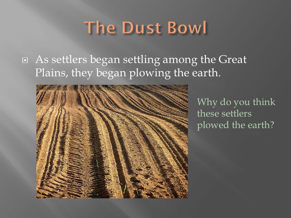 The Dust Bowl As settlers began settling among the Great Plains, they began plowing the earth.