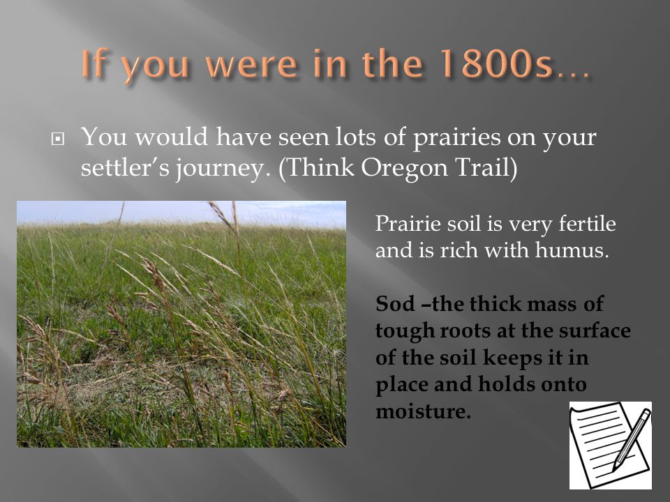 If you were in the 1800s… You would have seen lots of prairies on your settler’s journey. (Think Oregon Trail)