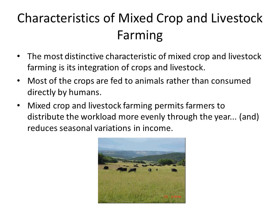 mixed crop and livestock farming