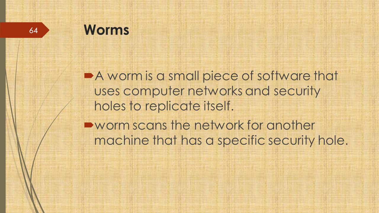 Worms A worm is a small piece of software that uses computer networks and security holes to replicate itself.