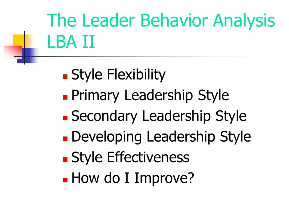 The Leader Behavior Analysis LBA II