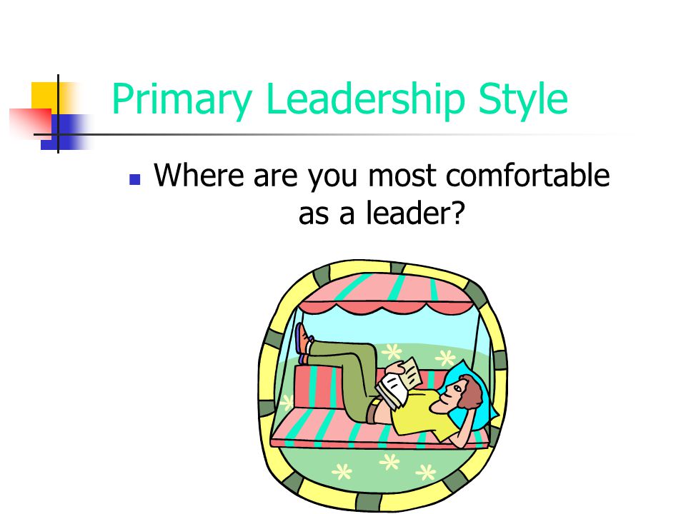 Primary Leadership Style
