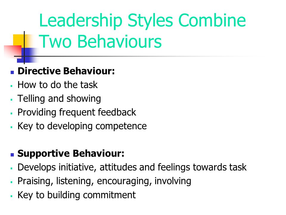 Leadership Styles Combine Two Behaviours