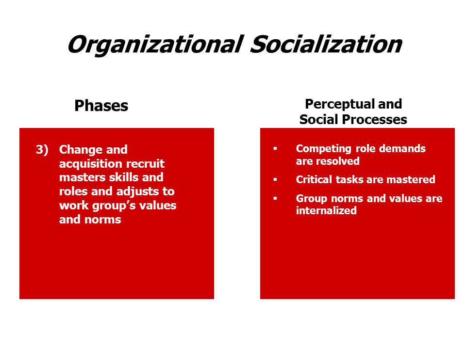 Organizational socialization - ppt video online download