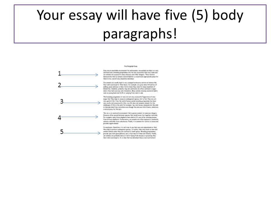 Your essay will have five (5) body paragraphs!