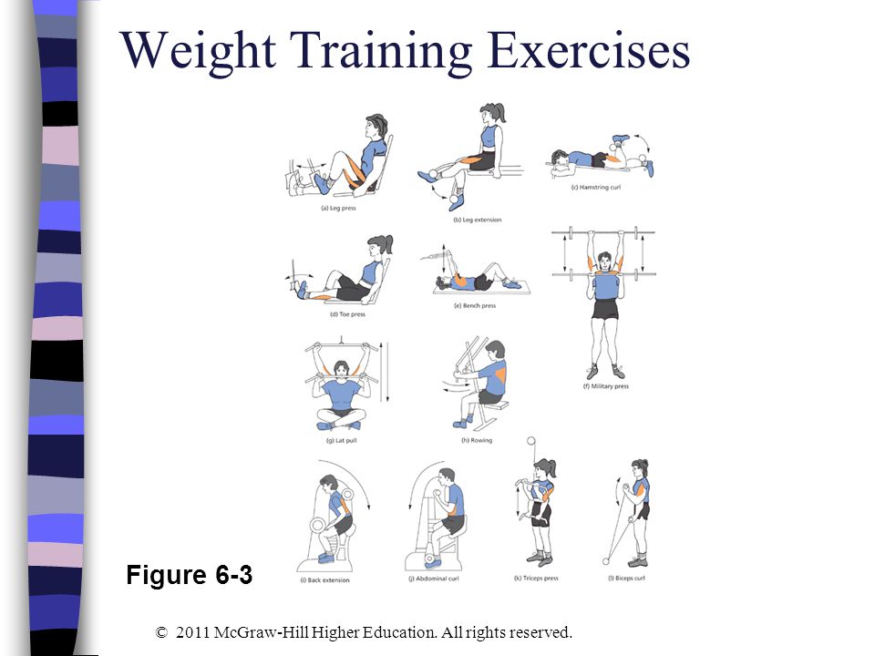 Weight Training Exercises
