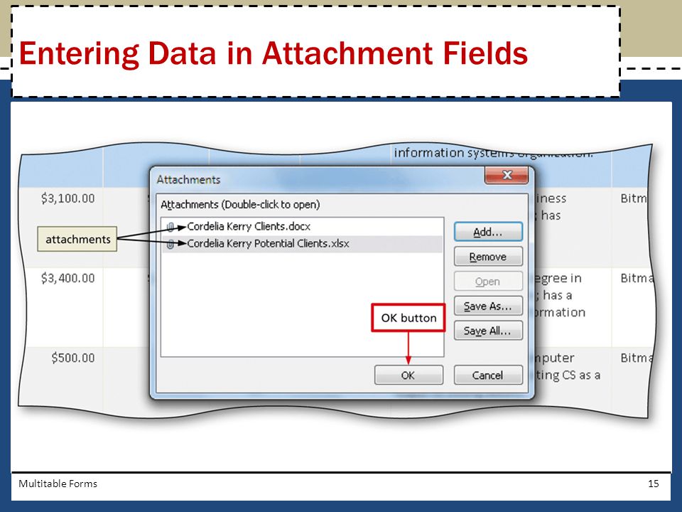 Entering Data in Attachment Fields