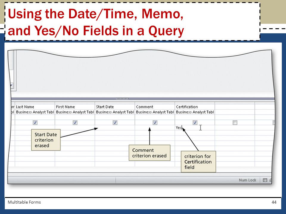 Using the Date/Time, Memo, and Yes/No Fields in a Query