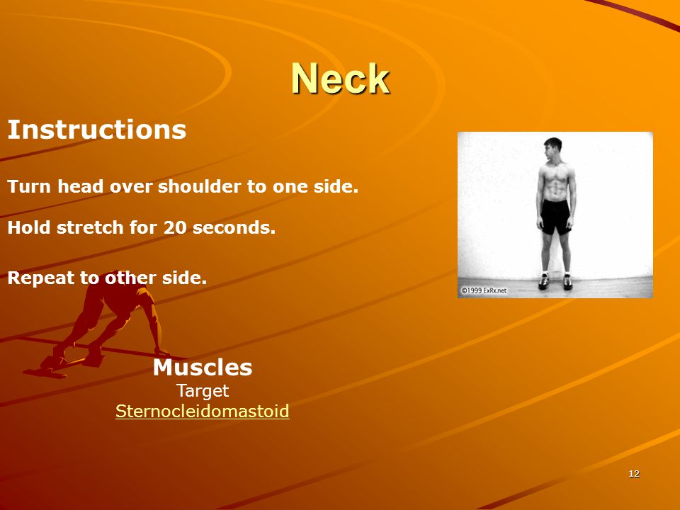 Neck Instructions Muscles Turn head over shoulder to one side.
