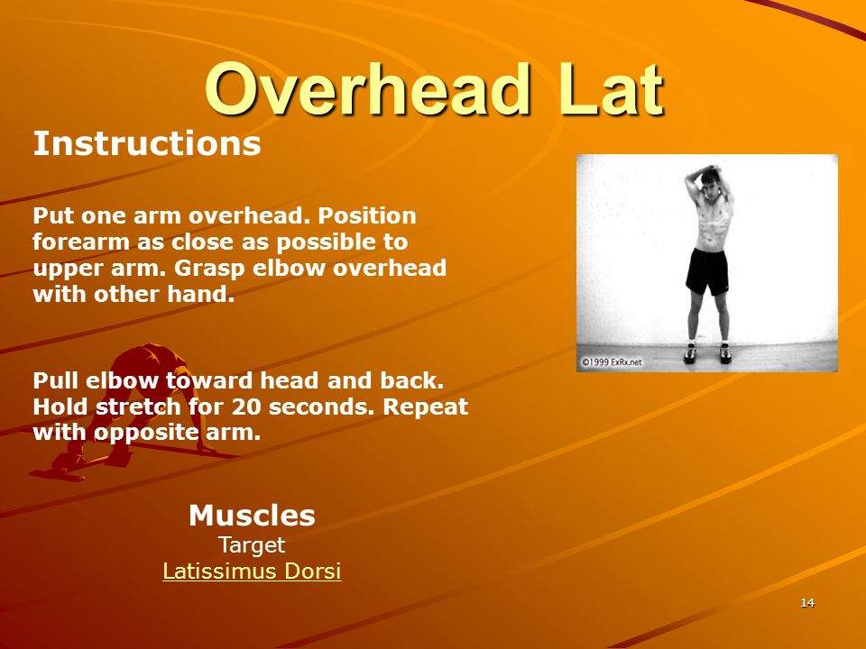 Overhead Lat Instructions Muscles