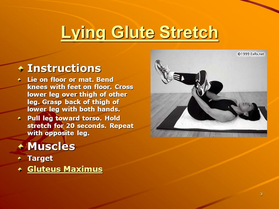Lying Glute Stretch Instructions Muscles Gluteus Maximus Target