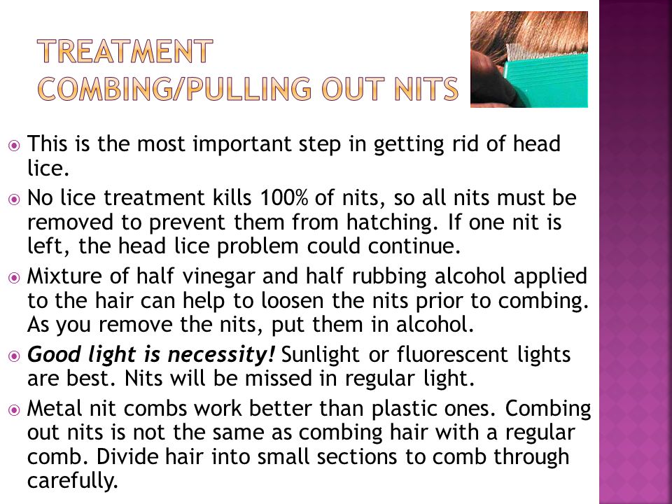 Treatment Combing/Pulling out nits